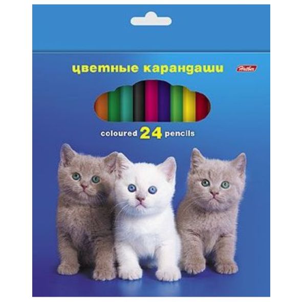 Карандаши цветные Hatber 24 цв.-Любимцы- с заточ.   в карт.короб. с европодвесом , 